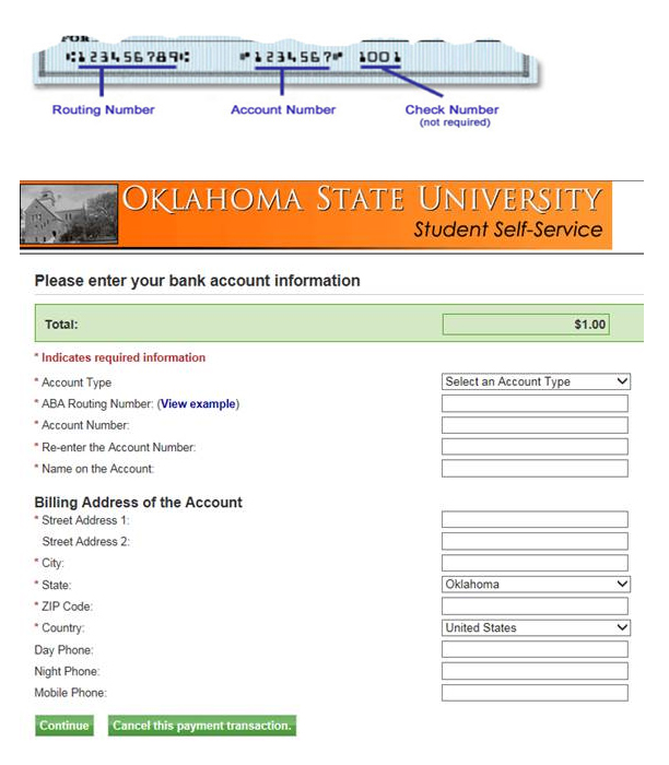 Screenshot of web check page.